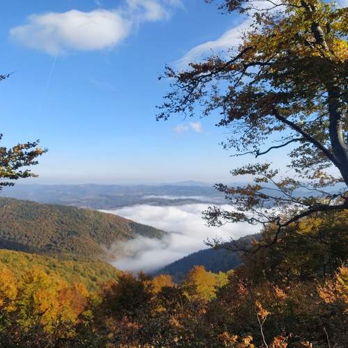 Photo #9160625
