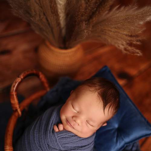 Photo #9161118