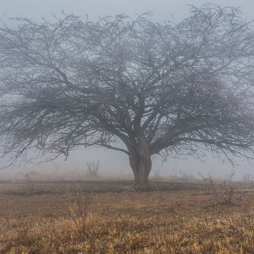 Photo #9161137