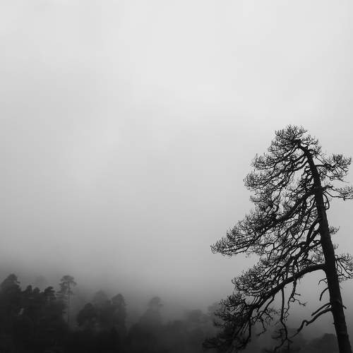 Photo #9161370