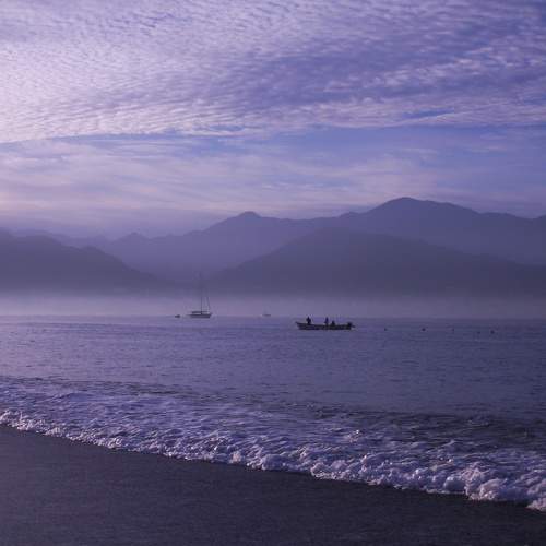 Photo #9161371