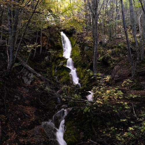 Photo #9161426