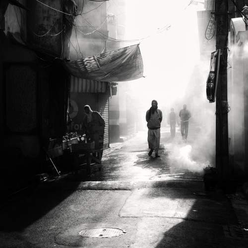Photo #9161454