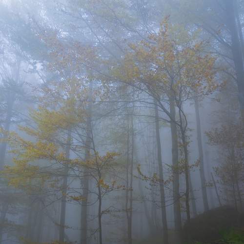 Photo #9161516