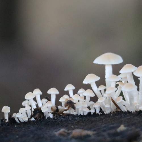 Photo #9161752