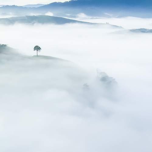 Photo #9161809
