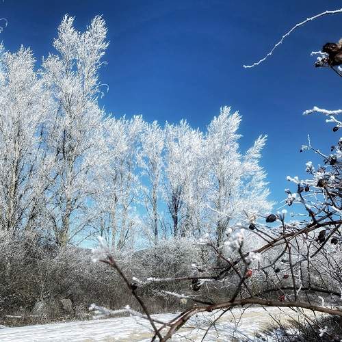 Photo #9161984