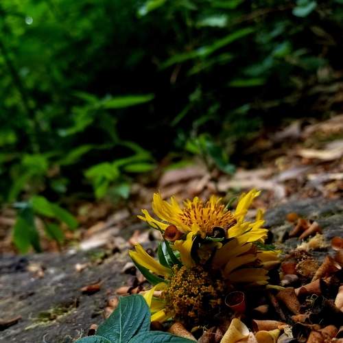 Photo #9162011
