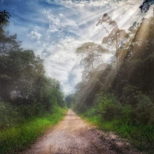 Photo #9162074