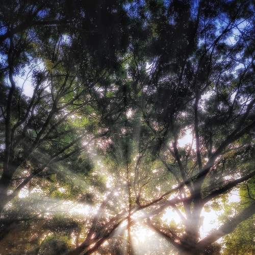 Photo #9162075