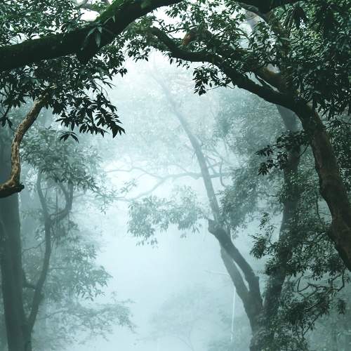 Photo #9162315