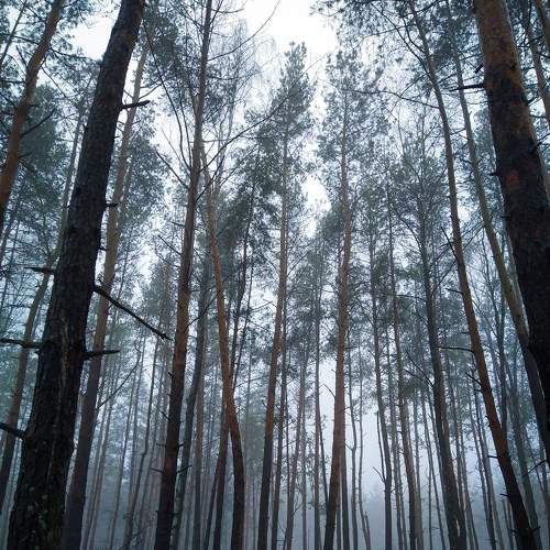 Photo #9162470