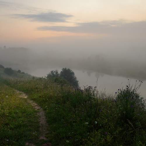 Photo #9162541