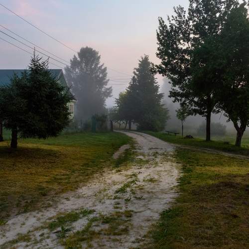 Photo #9162546
