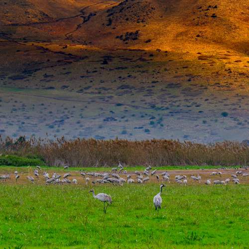 Photo #9162627