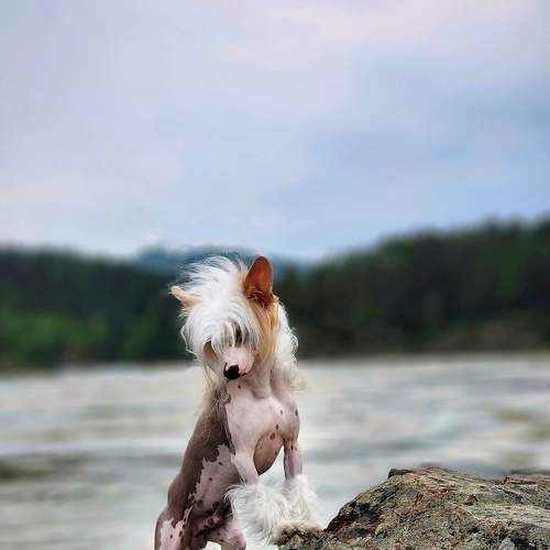 Photo #9162713