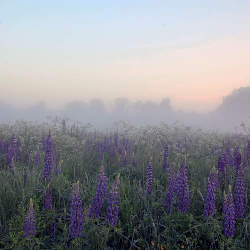 Photo #9162777