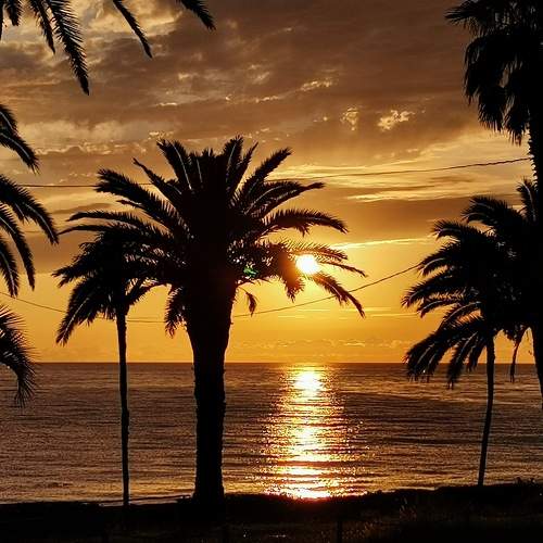 Photo #9162916
