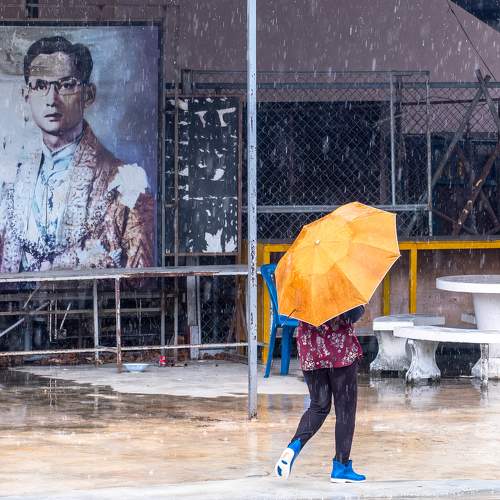 Photo #9163042