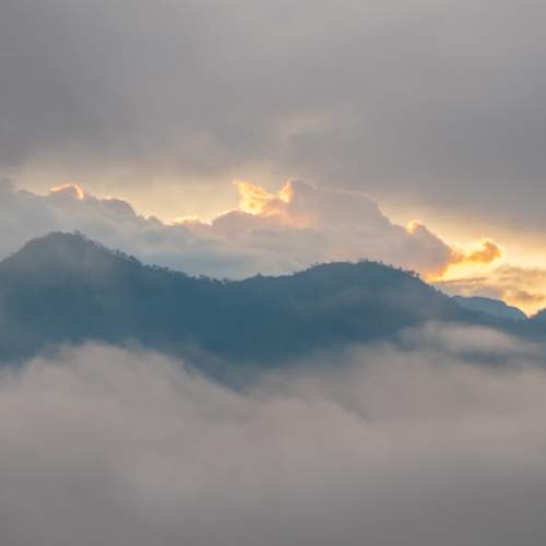 Photo #9163072