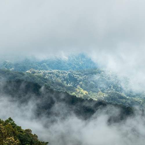 Photo #9163078