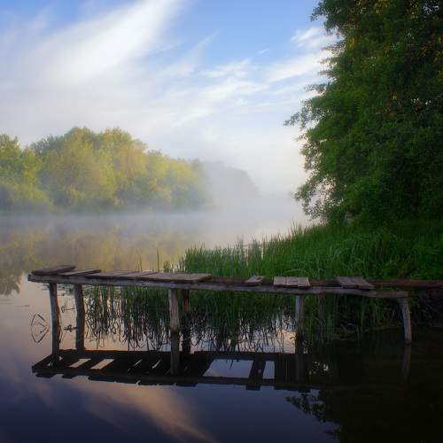 Photo #9163101