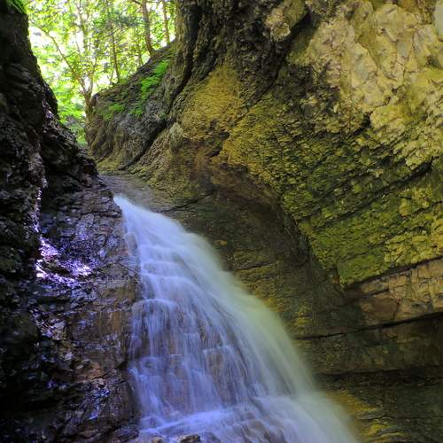 Photo #9163200