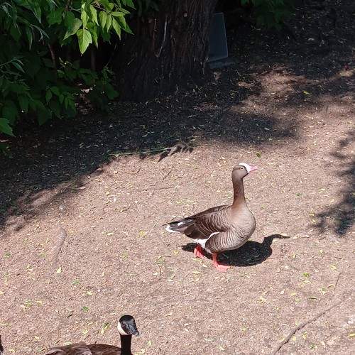 Photo #9163232