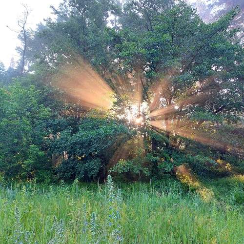 Photo #9163313