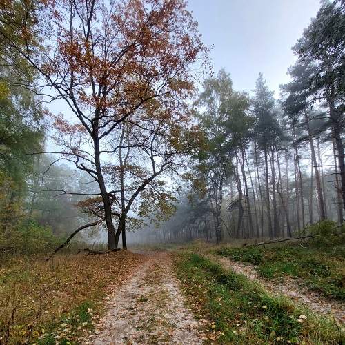 Photo #9163315