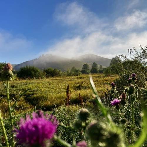 Photo #9163359