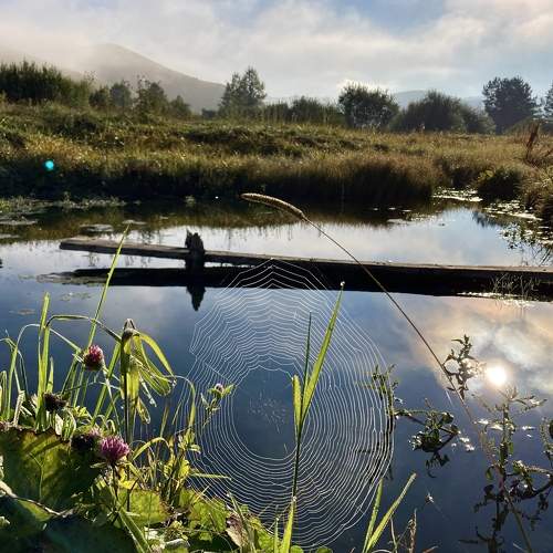 Photo #9163361