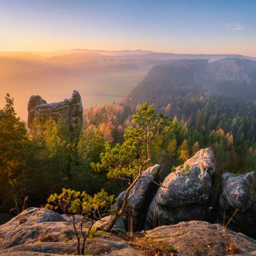Photo #9163586
