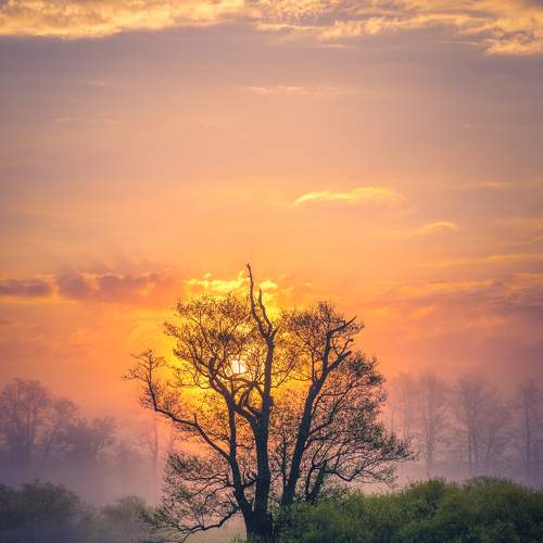 Photo #9163587