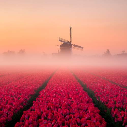 Photo #9163588