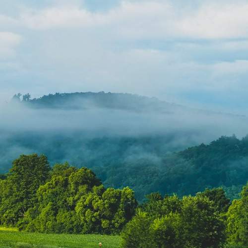 Photo #9163633