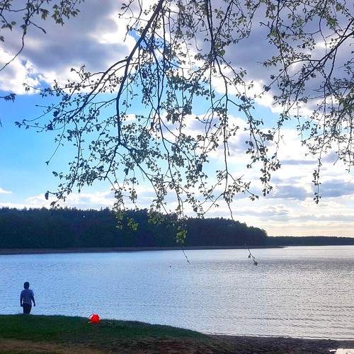 Photo #9163681