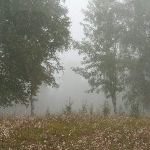 Photo #9163739