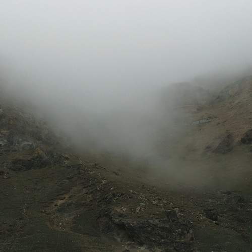 Photo #9164356