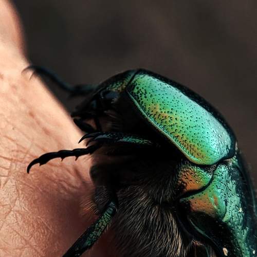 Photo #9164457