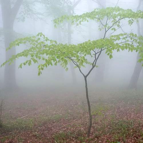 Photo #9164556