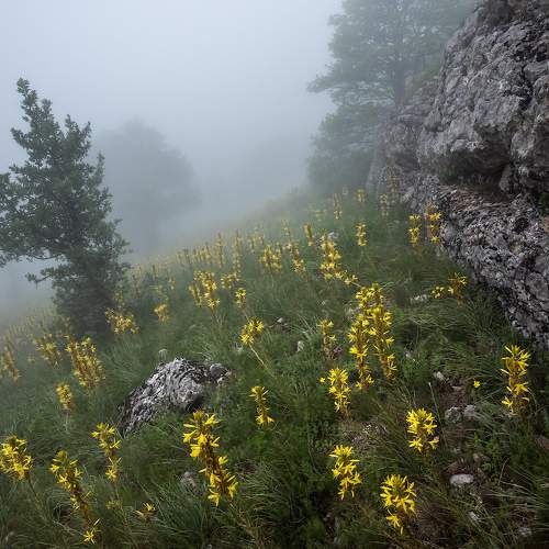 Photo #9164557
