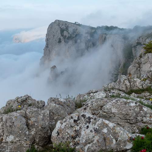 Photo #9164558