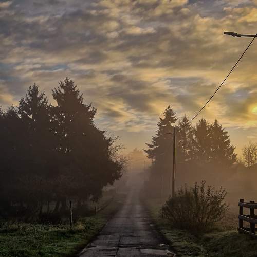 Photo #9164599