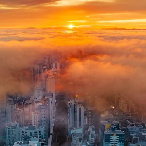 Fog and City