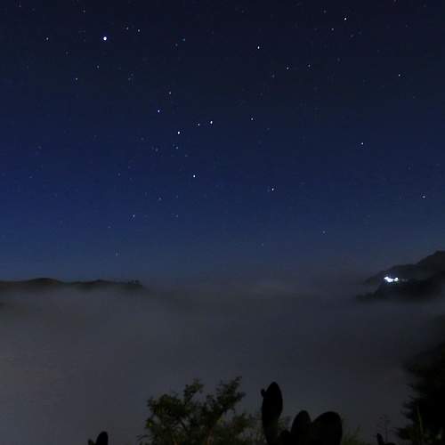 Photo #9164712