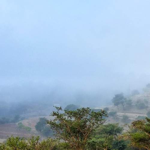 Photo #9164713
