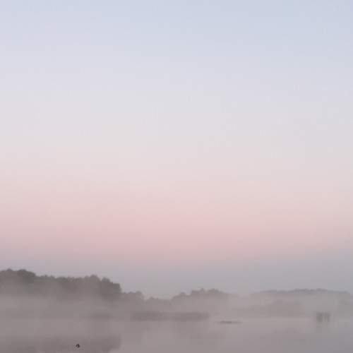 Photo #9164898