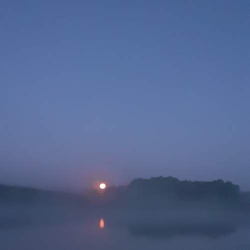 Photo #9164905