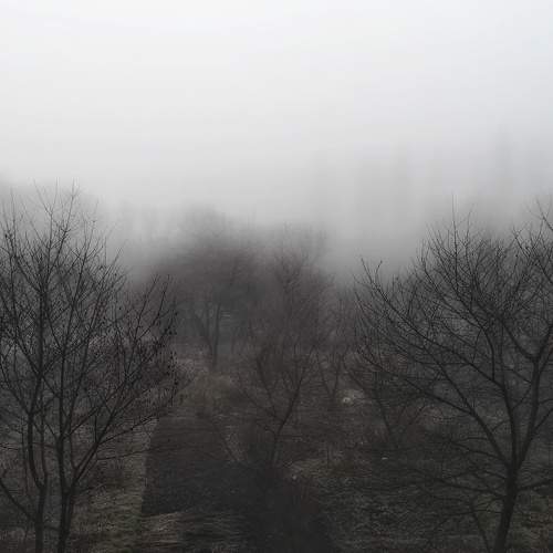 Photo #9164911